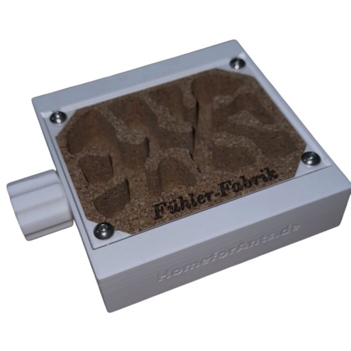 Ameisennest-Set Kork