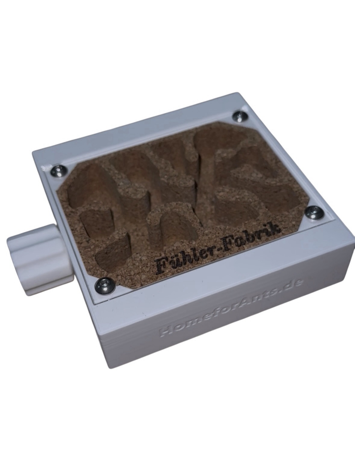 Ameisennest-Set Kork – Bild 2