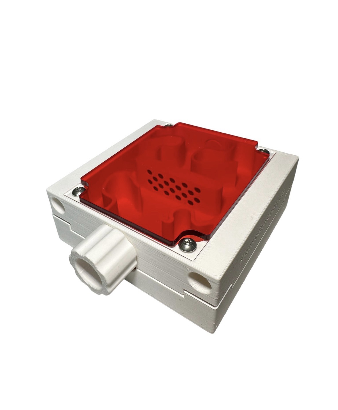 Ameisennest-Set Klein – Bild 3