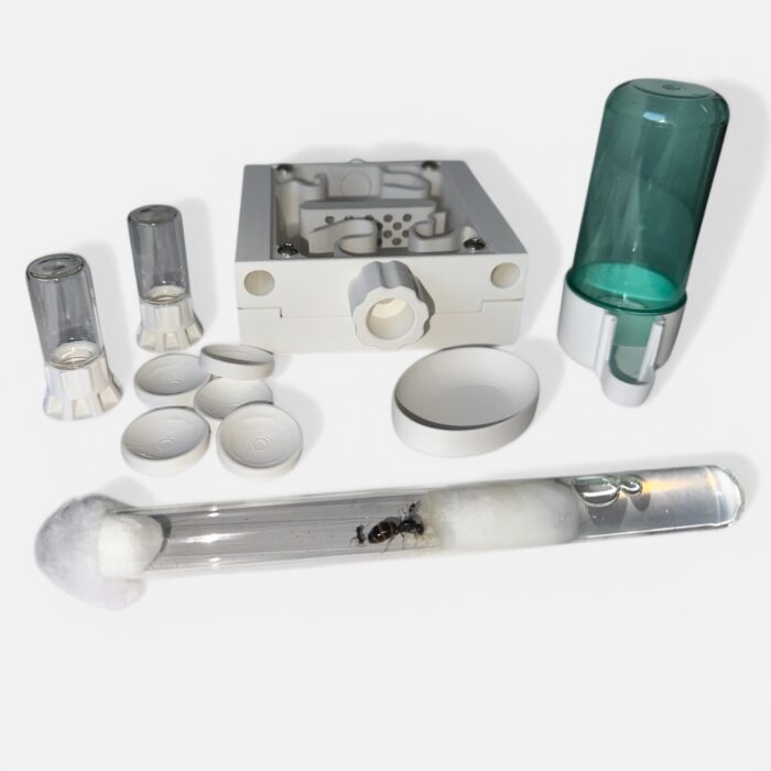 Ameisennest-Set Klein