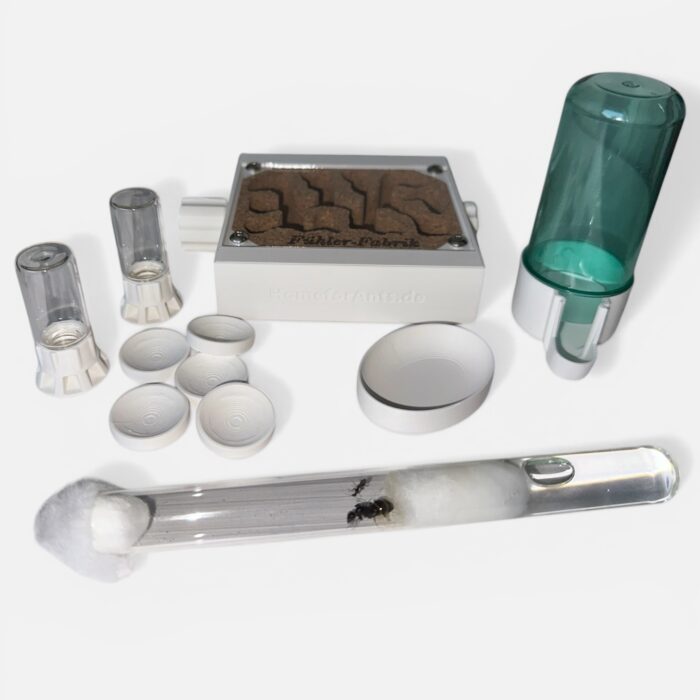 Ameisennest-Set Kork