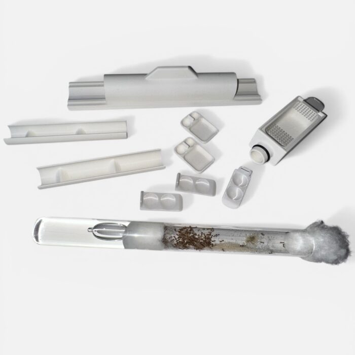 Ameisen Starterset Gründungskolonien