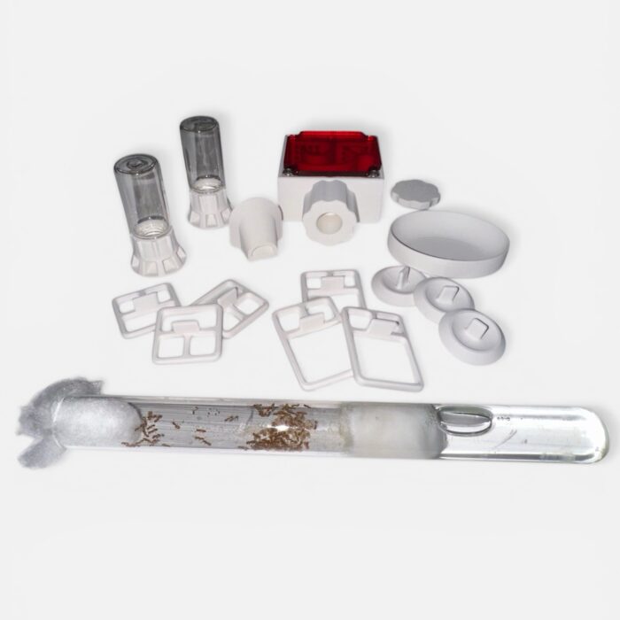 Ameisennest-Set Mini