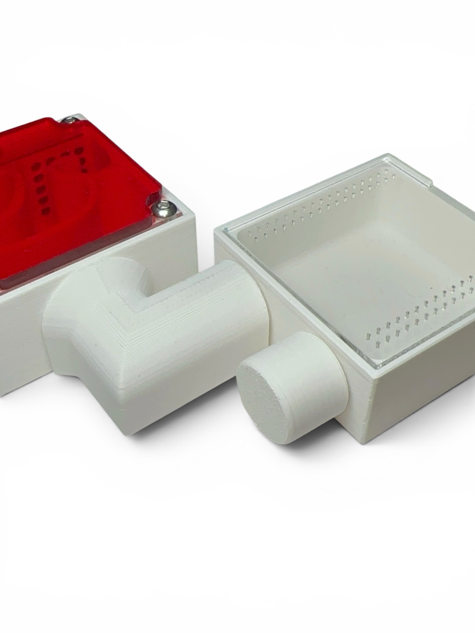 Ameisenkomplettset Mini – Bild 4